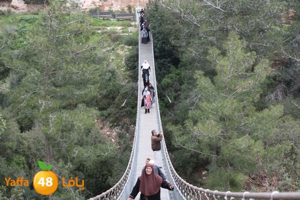 re7la7efa483 (72).JPG